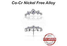 Вставка Steel and Silver сирена